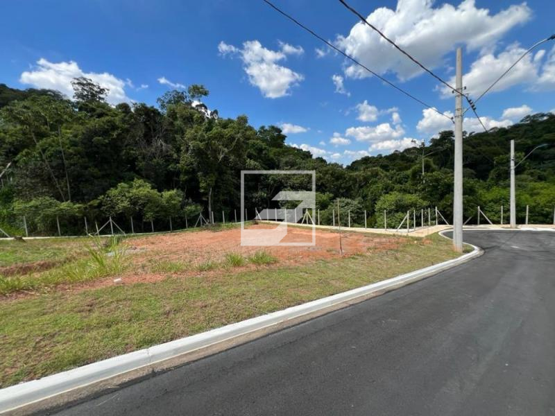 Investir em Terra: Por Que Terrenos Continuam Sendo o Investimento Mais Sólido