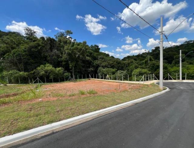 Investir em Terra: Por Que Terrenos Continuam Sendo o Investimento Mais Sólido